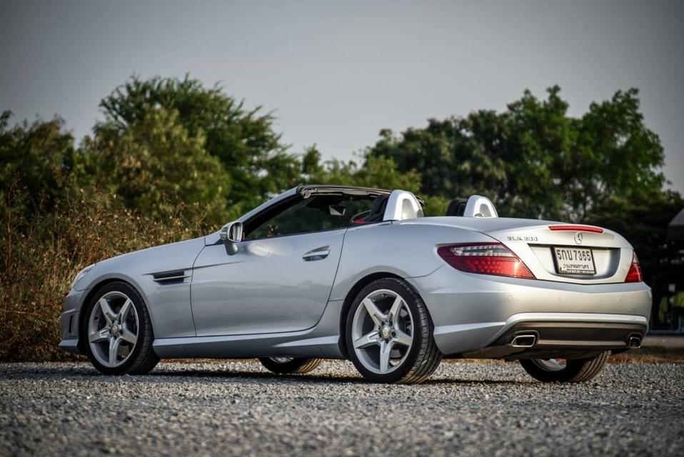 Mercedes-Benz SLK200 2.0 AMG Dynamic [R172] AT 2016 รหัส CBL7365 5