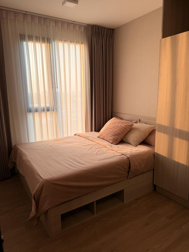 คอนให้เช่า โครงการ: Chapter One All Ramintra 1