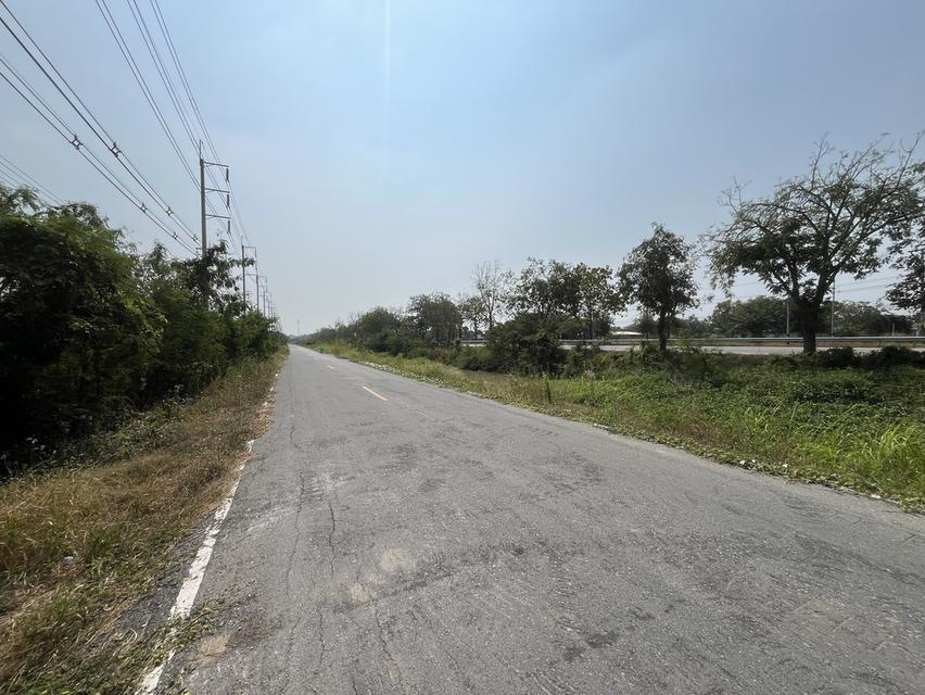 ✨ขายที่นา ทำเลทอง 10 ไร่ ติดถนนใหญ่ + คลองชลประทาน – ต.ย่านยาว อ.สามชุก จ.สุพรรณบุรี✨ 5