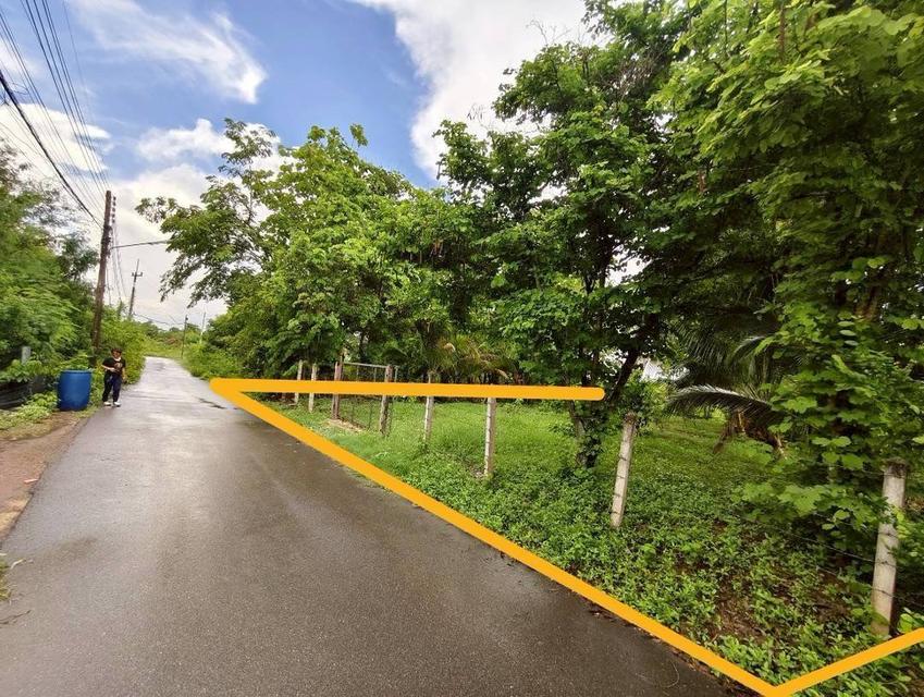 ที่ดินอรัญประเทศ สระแก้ว 2