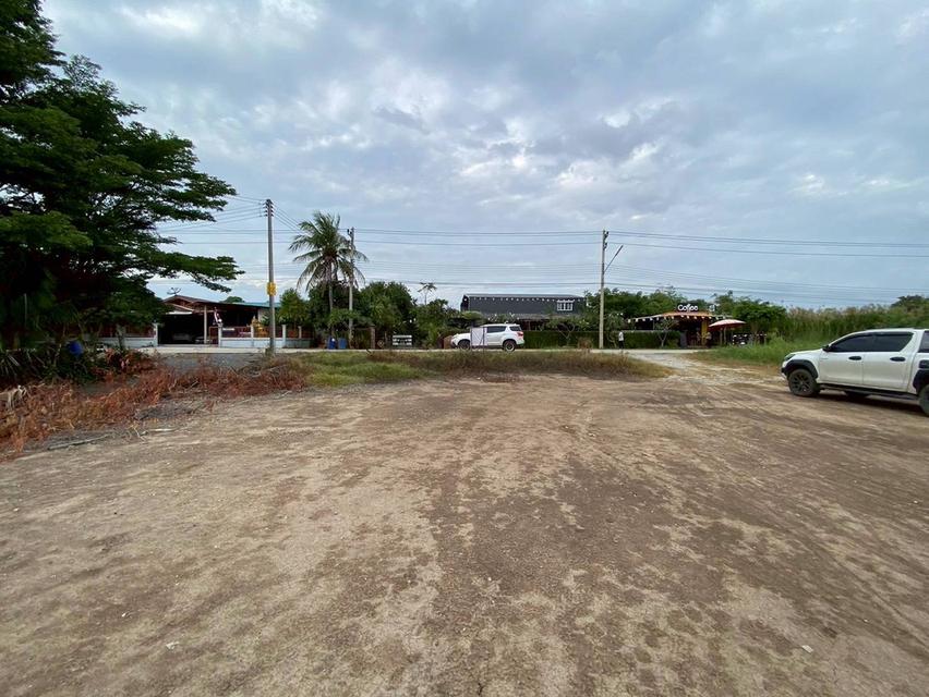 Vายถูกที่สุดที่ดิน 2ไร่ครึ่ง ติดถนนคอนกรีตสาธารณะ ถมแล้วnต.บางภาษี อ.บางเลน จ.นครปฐม 6