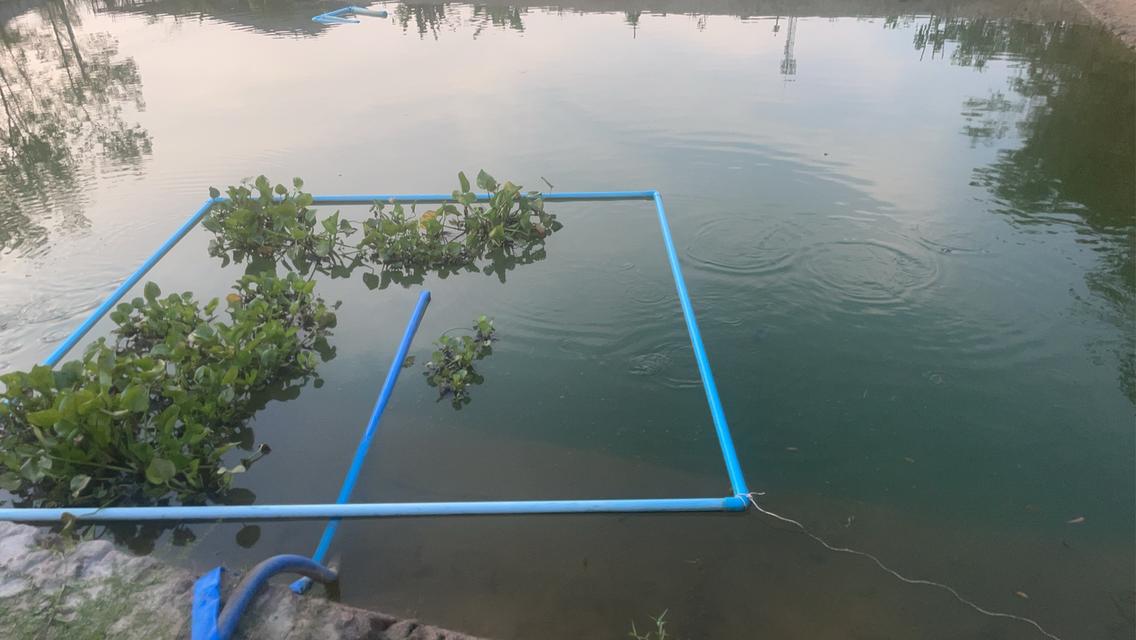 บ้านพร้อมสวน เกษตร ผสมผสาน 17
