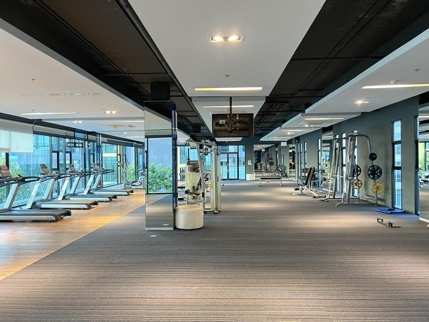 คอนโด The shy Sukhumvit 17