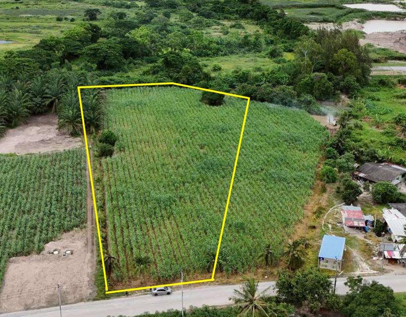 ขายที่ดินคลองกิ่ว 4 ไร่ ติดถนนคอนกรีตติดอ่างเก็บน้ำหนองน้ำเขียว ใกล้เทศบาลบ้านบึง-4กม. อ.บ้านบึง ชลบุรี