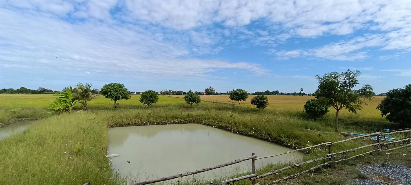 บ้านพร้อมที่ดิน 2ไร่2งาน80ตารางวา 15