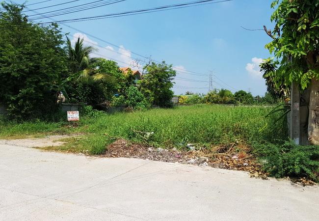 ขายที่ดิน บางบัวทอง ซอยเลียบคลองนายหลีก ใกล้วัดลาดปลาดุก เนื้อที่ 130 ตร.ว. ถมแล้ว 4