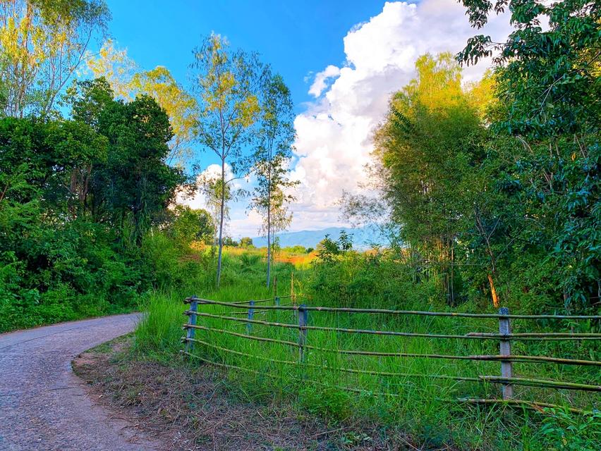 🏡 ขายที่ดินน่าน อ.ปัว วิวดอยภูคา | แปลงเดียว | พร้อมสร้าง 10