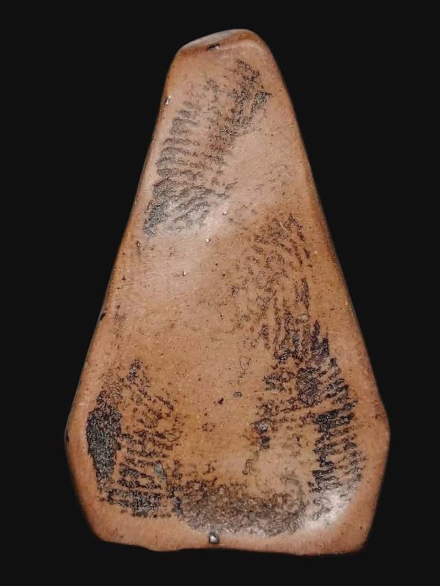 พระผงสุพรรณ เปิดบูชาจ้า 2