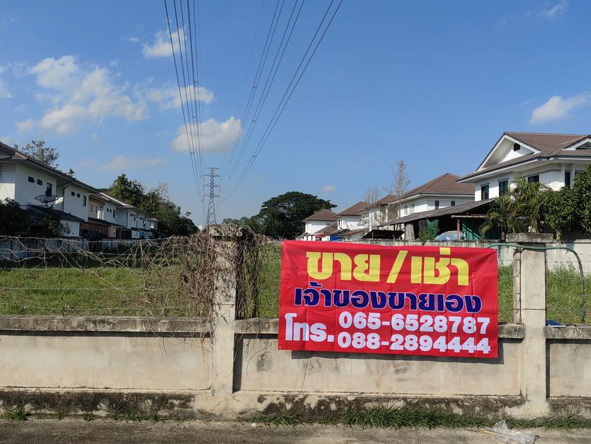 ที่ดินเปล่าเชียงใหม่ 2ไร่ 2งาน 5 ตรว. ขายต่ำกว่าราคาประเมิน 2