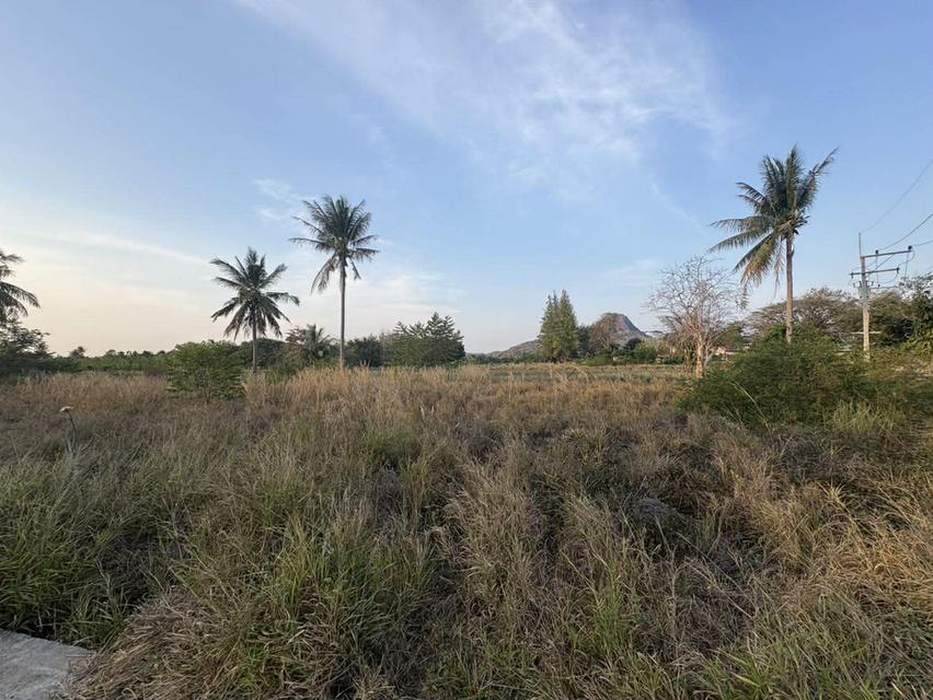 ขายที่ดินปราณบุรี วิวเขา สวยธรรมชาติ พื้นที่ 22 ไร่ 6 งาน 35 ตารางวา รายละเอียด *** ในราคาเสนอขาย 1,500,000  บาท/ไร่  โฉนด นส.3 ก. (ราคาต่อรองได้) 5