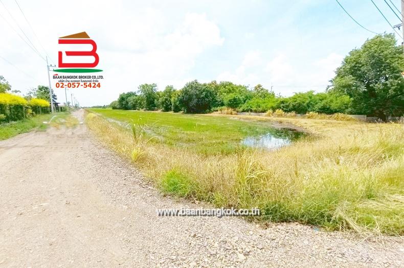 ที่ดินเปล่า เนื้อที่ 20-3-61 ไร่ ใกล้องค์การบริหารส่วนตำบลคลองหก ถนนคลอง6 ฝั่งตะวันตก ต.คลองหก อ.คลองหลวง จ.ปทุมธานี 6
