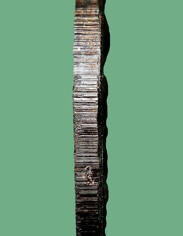 เหรียญหลวงปู่โต๊ะ วัดประดู่ฉิมพลี รุ่นเยือนอินเดีย ปี พ.ศ.2519...สวยเดิมๆ 4