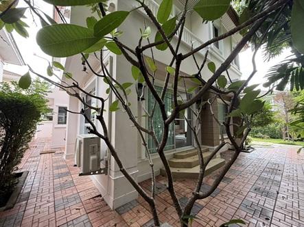 ให้เช่าบ้านเดี่ยว นันทวัน พระราม9-อ่อนนุช 3ห้องนอน 3ห้องน้ำ 7