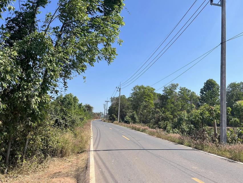 ขายที่ดินหนองกี่ 6 ไร่ ซอยบ้านทดหมู่5 ติดถนน2ด้าน ใกล้นิคมกบินทร์บุรี-5กม. อ.กบินทร์บุรี จ.ปราจีนบุรี 2