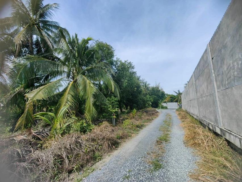 ที่ดินเปล่า เป็นสวนเก่า ติดโครงการปมู่บ้านแลนด์แอนด์เฮ้าส์ เพิ่งสร้างเสร็จใหม่ ธรรมชาติร่มรื่น ติดคลองบางมด 2