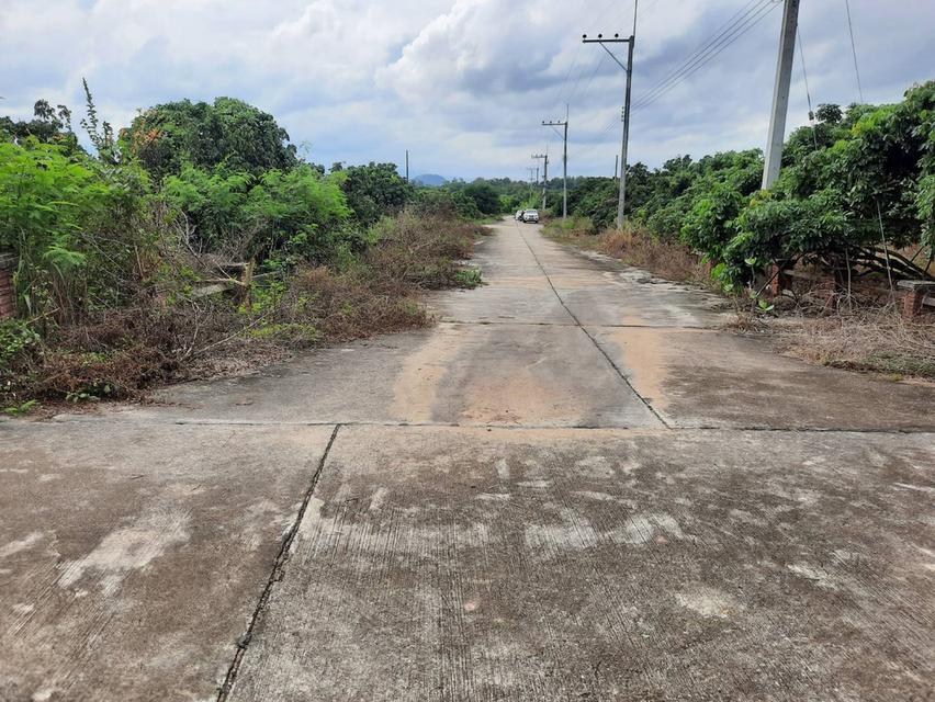 ขายที่ดิน โฉนด 205 ขนาด 1 งาน 89 ตรว.โฉนด 27452 ขนาด 3 งาน 79 ตรว.