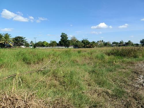 ที่ดิน 1-3-59.0 ไร่ ต.ขามทะเลสอ อ.ขามทะเลสอ จ.นครราชสีมา 5