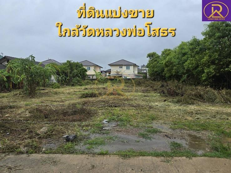 ขายที่ดินแบ่งขาย 100 ตารางวา ใกล้วัดหลวงพ่อโสธร ซอยเทพคุณากร 15 ต.โสธร อ.เมืองฉะเชิงเทรา จ.ฉะเชิงเทรา