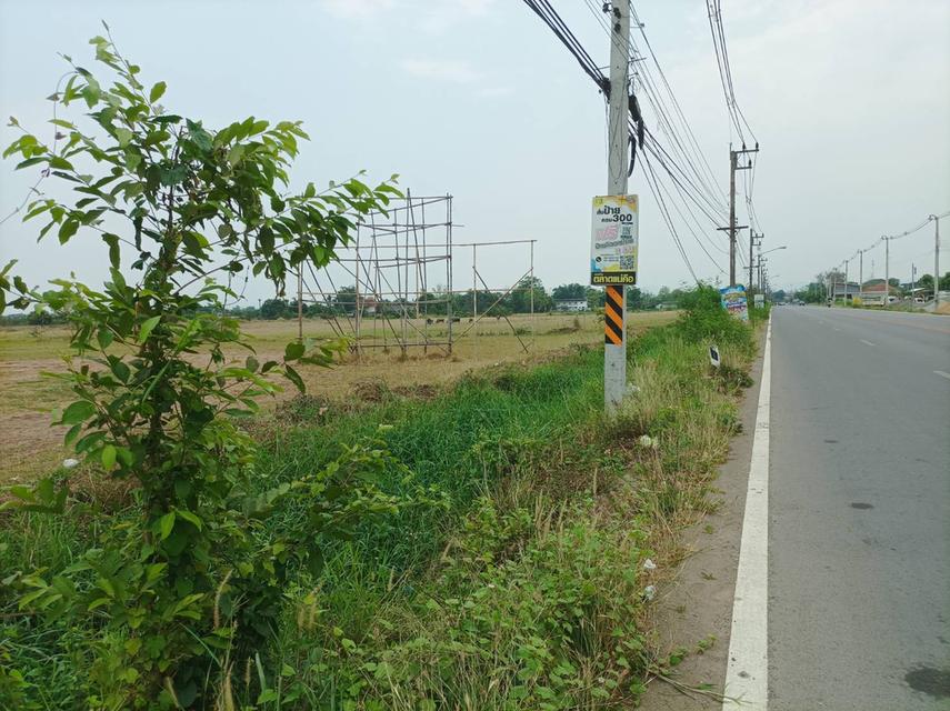 ขายที่ดินถมแล้ว108ไร่ ต.แม่คือ อ.ดอยสะเก็ด จ.เชียงใหม่ 17