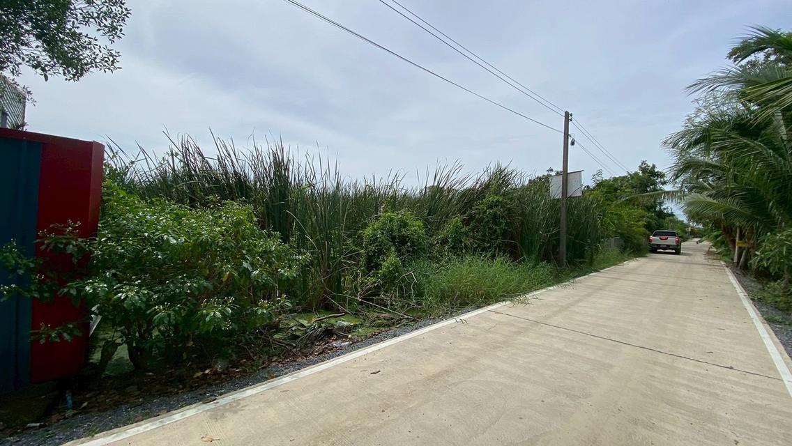 Vายถูกที่ดินคลองสี่ 200 ตารางวา ติดถนนคอนกรีต ซอย คลองสี่ตะวันออก 66 อ.คลองหลวง จ.ปทุมธานี 6