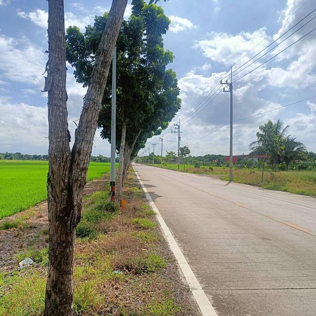 ขายที่ดิน 15 ไร่ ลำลูกกา ปทุมธานี 3