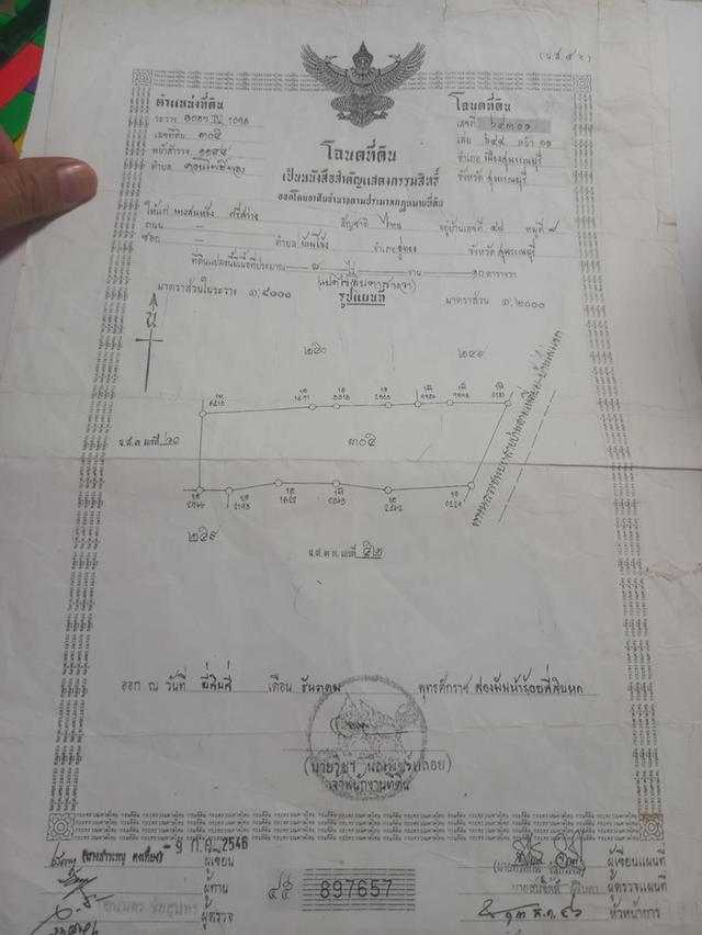 ที่ดิน 8 ไร่ ติดถนนหมู่บ้าน มีทางเข้าออกถนนมาลัยแมน 1
