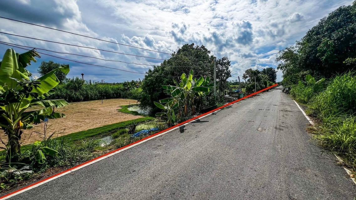 ขายที่ดินทำเลดี รังสิต–นครนายก ขนาด 100 ตร.ว เพียง 350,000 บาท (ราคาถูกที่สุดในโซน!) 3