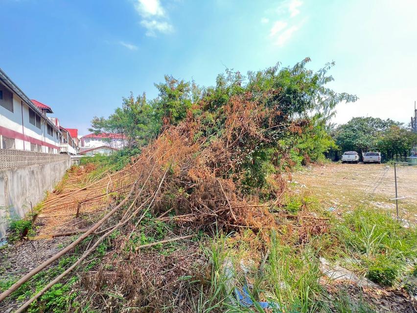 ขายที่ดินซอยกอไผ่ พัทยา จังหวัดชลบุรี 4