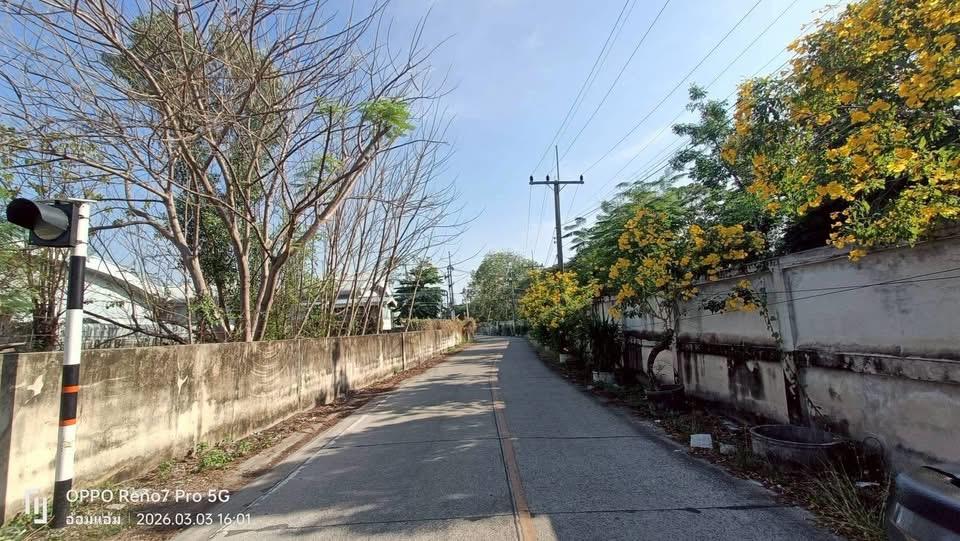 ขายที่ดินใกล้วัดบางกระดี 340 ตารางวา (ติดถนนคอนกรีตสาธารณะ ซอยบางกะดีสายใน 1 เมืองปทุมธานี 6