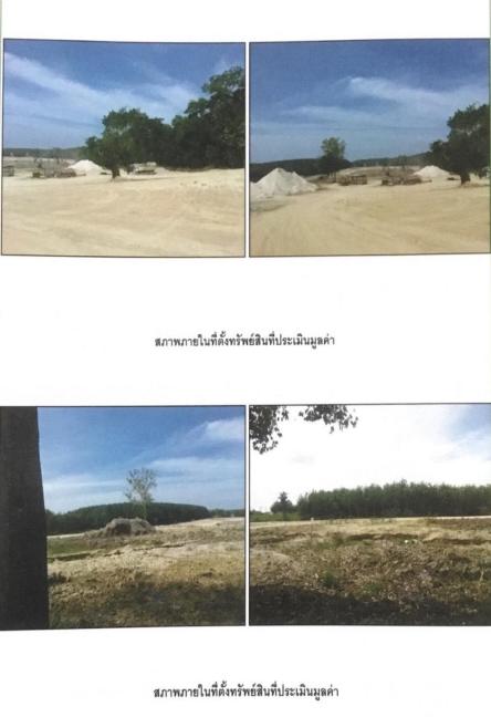 ขายที่ดิน50ไร่ทำเลสวย อ.แกลง จ.ระยอง 8