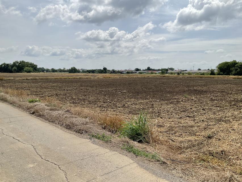 ที่ดินเปล่า อ.เสาไห้ จะ.สระบุรี 5