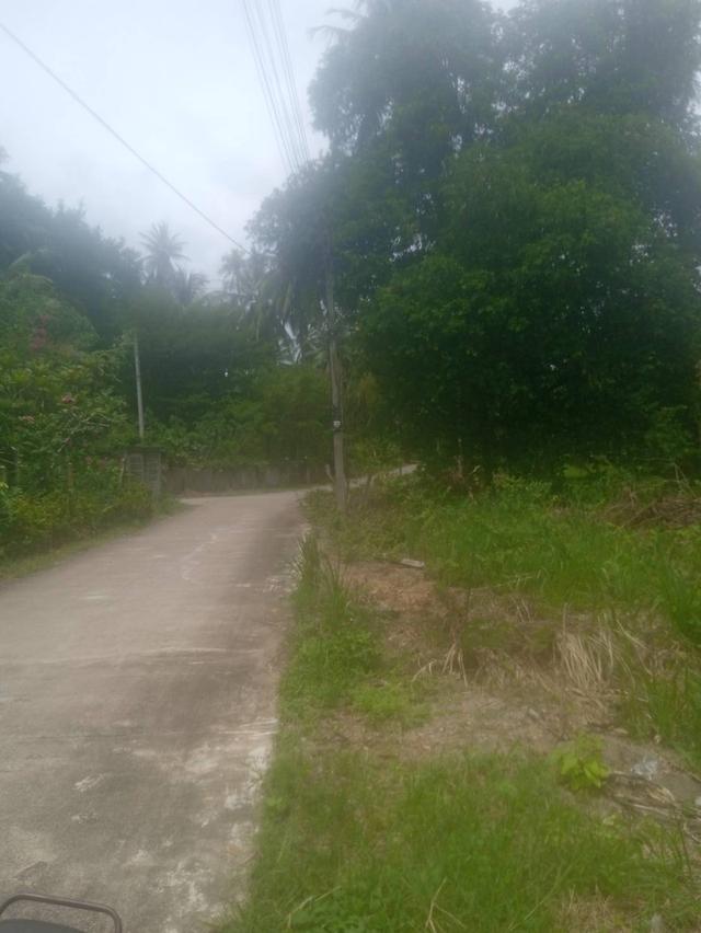 🌊 Large Land Plot Near the Sea — Perfect for Ultimate Privacy 15
