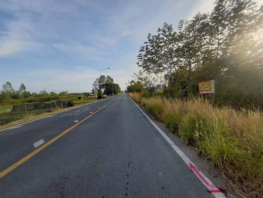 Vายถูกที่สุด ที่ดินติดถนนเลียบคลองสิบสี่  2 ไร่ ทำเลดี มีอนาคต นักลงทุนไม่ควรพลาด อ.หนองเสือ จ.ปทุมธานี 5