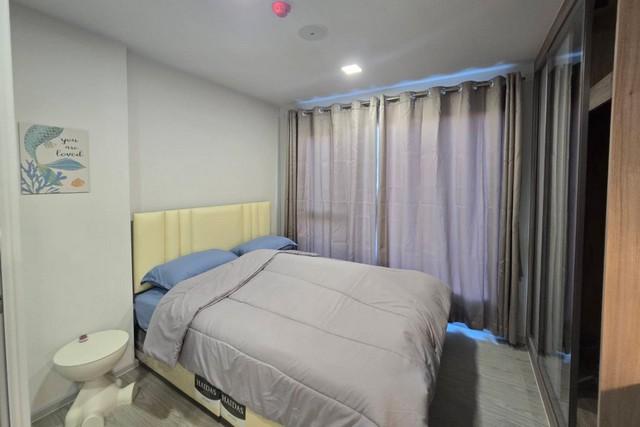 Kave Town Island | วิวนอก เป็นส่วนตัว | พร้อมเข้าอยู่ [29 ตร.ม. / ตึก E / ชั้น 3,5 / วิวนอก / เริ่มต้น 15,000.-] 2