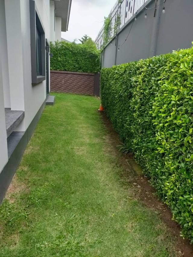 บ้านเศรษฐสิริ วงแหวน-ลำลูกกา หลังมุมเฟอร์นิเจอร์ครบ 5