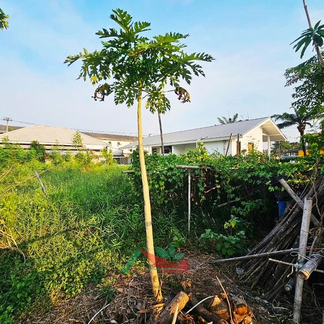 ขายที่ดินจัดสรร93.6ตรว. ม.ดิสคอฟเวอรี่เพลส รังสิต คลอง7  4