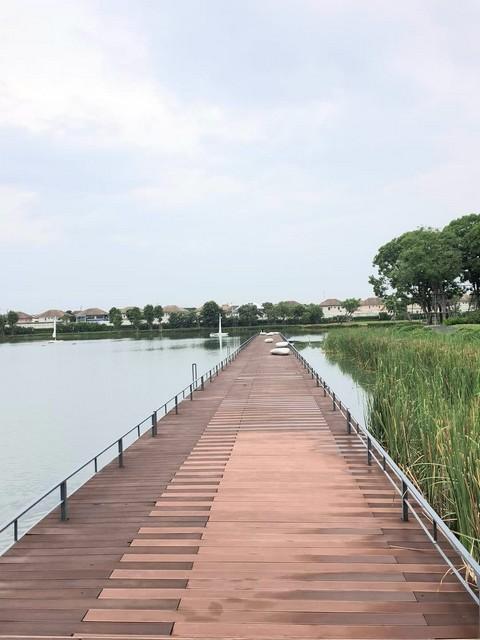 P310 ให้เช่า บ้านเดี่ยว มัณฑนา เลค วัชรพล Mantana Lake Watcharapol บ้านเปล่า ว่างสิ้นเดือนพฤศจิกายน 2567 บ้านทิศเหนือ 3