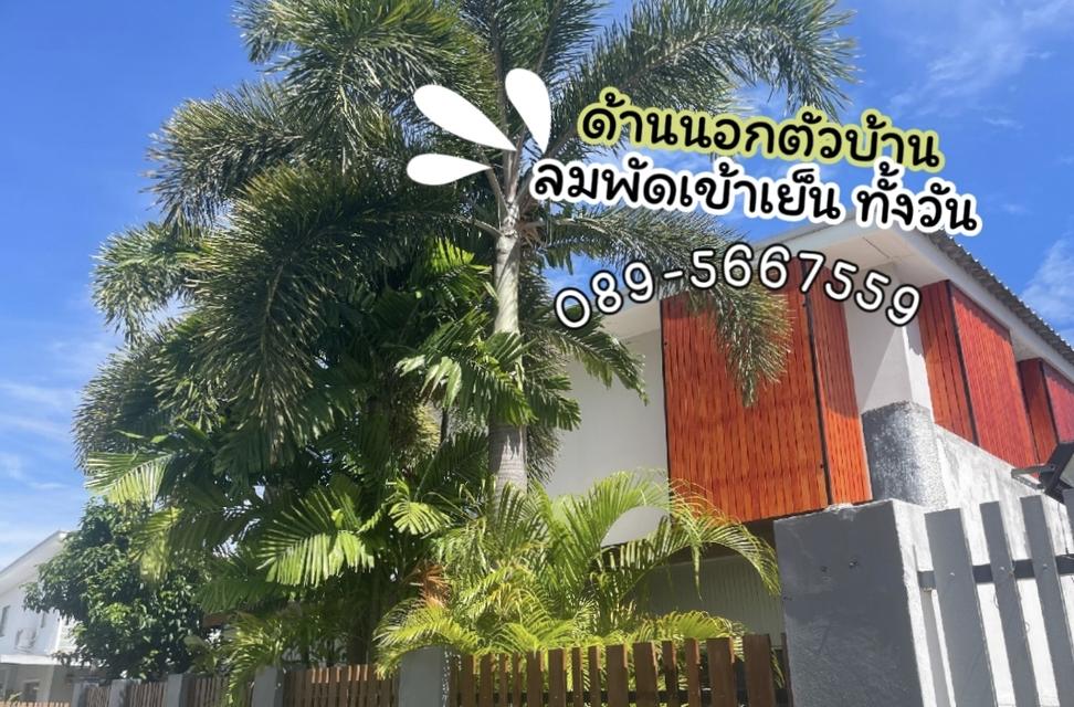 ขายบ้านแฝด2 ชั้นพร้อมอยู่ หลังมุม โรงโป๊ะ พร้อมเฟอร์ฯ ยกกระเป๋าเข้าอยู่ได้เลย 10
