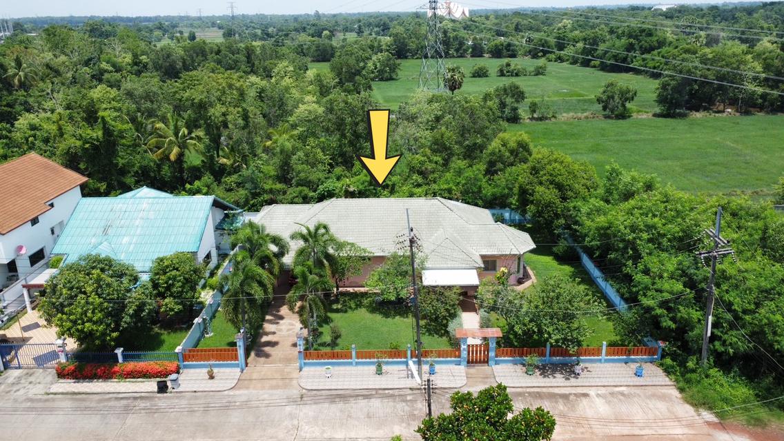 ขายด่วน!! บ้านเดี่ยวพร้อมเฟอร์นิเจอร์ หมู่บ้านกริชชัยวิลล่า อุดรธานี (H1SS-469) 1