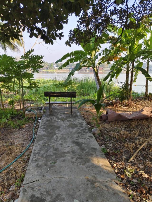 ที่ดินติดถนนติดริมแม่น้ำแม่กลอง 3