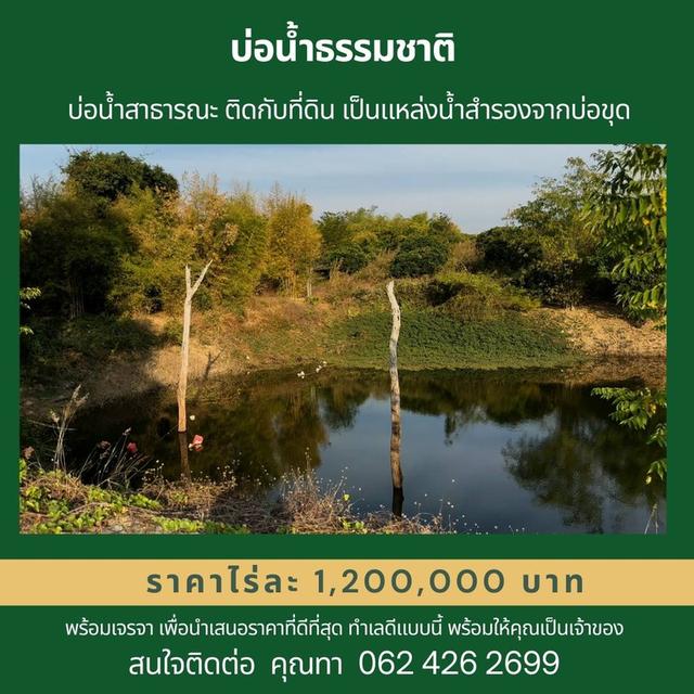 ขายที่ดินด่วน!! พร้อมสิ่งปลูกสร้างและสวนทุเรียนพันธุ์หมอนทอง 450 ต้น 6