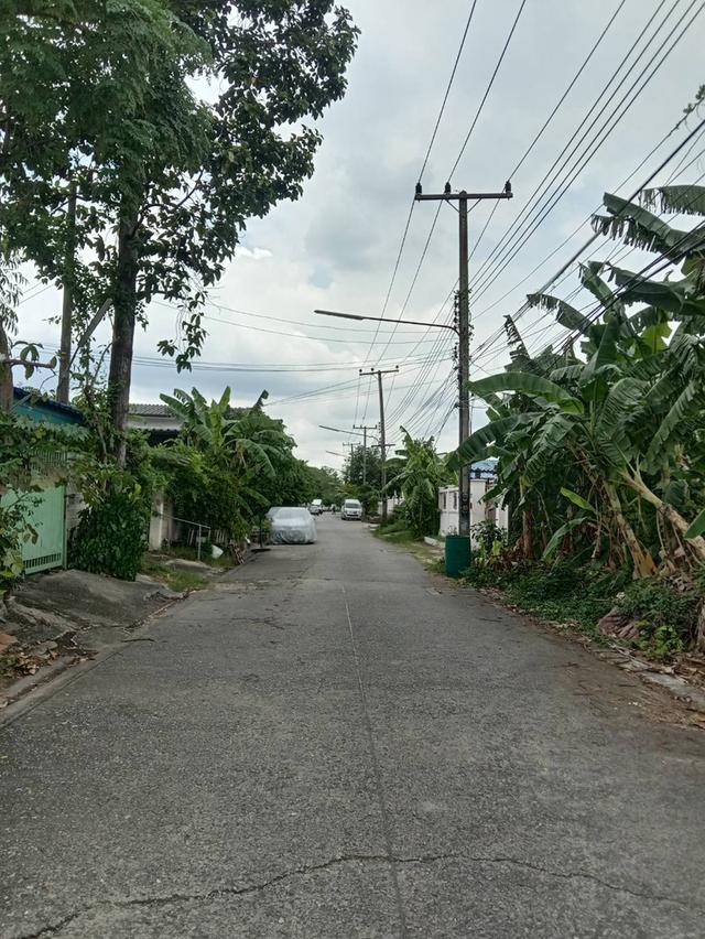 ขายที่ดินเปล่า 70 ตารางวา คลอง2 (ซอยรังสิต-นครนายก33) ใกล้ตลาดพระรูปคลอง2 6