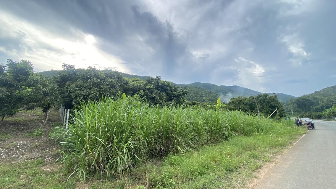 ขายที่ดินวิวภูเขา อ.พร้าว จ.เชียงใหม่ 9