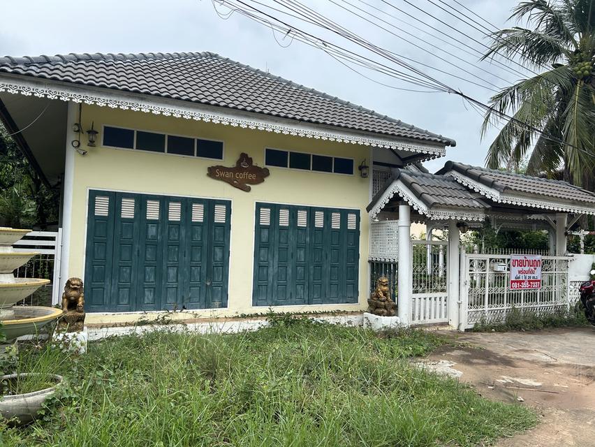 ขายบ้านและที่ดินพร้อมสิ่งปลูกสร้าง 3
