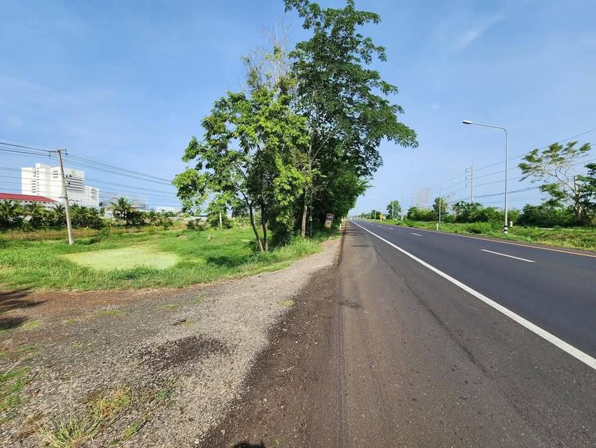 ขายที่ดินติดถนนราชสีมา เดชอุดม หมายเลข 24 ติดโรงงานเบทาโกร สาขาหนองบุญมาก อำเภอหนองบุญมากจังหวัดนครราชสีมา  2