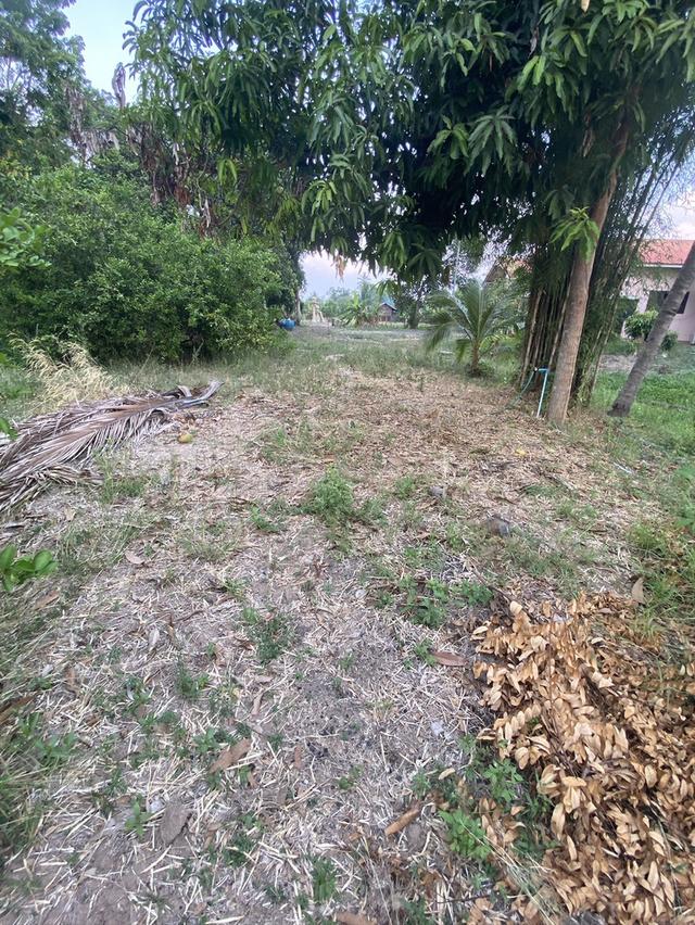 บ้านพร้อมที่ดิน อ.ครบุรี จ.นครราชสีมา 6