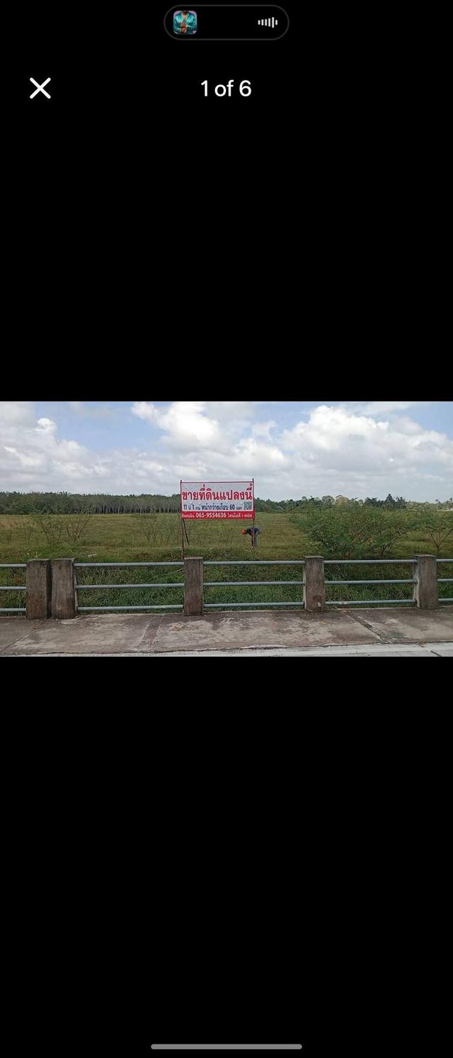 ที่ดินเปล่าใกล้เซ็นทรัล (5 นาที) โรงพยาบาลมหาราช (3 นาที) ขายด่วน ถูกมาก ไร่ละไม่ถึงล้าน 4