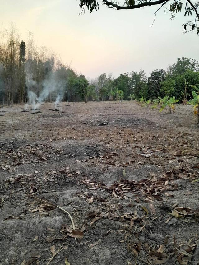 ที่ดินพร้อมบ้านนครนายก 4