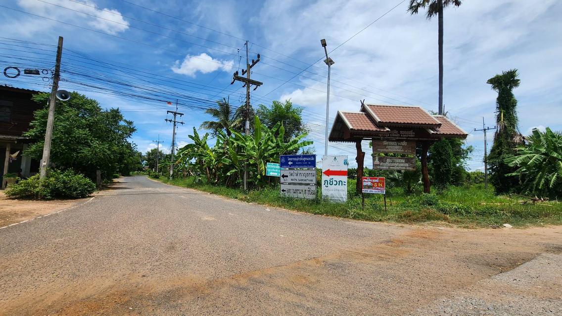 ที่ดินหลุดจอง.ทำเลดี ใกล้.เขื่อนลำพระเพลิง. 5 ไร่. เพียง2.5 ล้านบาท (จากเดิม 4 ล้านบาท ) | ( 1,250 บ./ตร.ว ) อ.#ปักธงชัย จ.นครราชสีมา 17