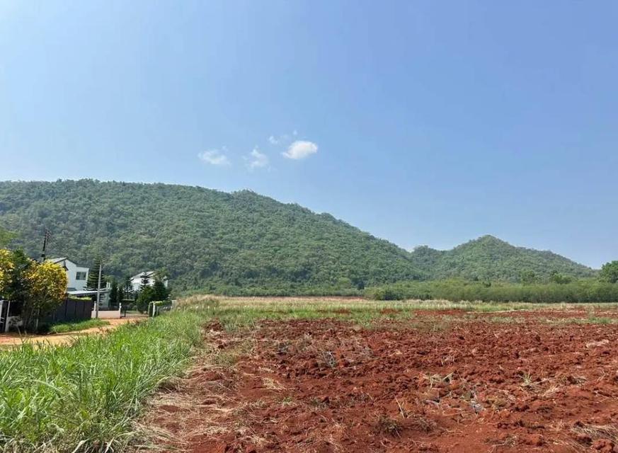 ขายที่ดินเขาวง หนองน้ำแดง เขาใหญ่ ปากช่อง 1.5ไร่ วิวเขาสวยมาก ถนนลาดยางสาธารณะ เดินทางสะดวก ใกล้ธนะรัชต์ มอเตอร์เวย์M6 ที่สูง ไม่เปลี่ยว บ้านตากอากาศ 1